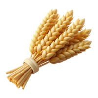 impressive modern Bundle of wheat stalks tiewith twine, natural texture, soft lighting, isolateon transparent background,high-resolution product photography 4K png