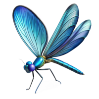 peaceful wonderful Damselfly with iridescent blue body, delicate wings, studio lighting, side view, studio photography, isolateon transparent background,high-resolution product photography exclusive png