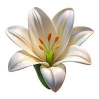 impressive sought-after White lily with fully openebloom, visible pollen, dramatic lighting, front view, isolateon transparent background,high-resolution product photography png
