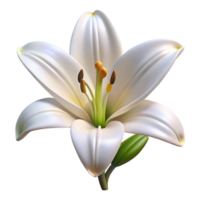 majestic peaceful classic White lily with fully openebloom, visible pollen, dramatic lighting, front view, isolateon transparent background,high-resolution product photography flawless png