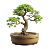 pristine exceptional Miniature bonsai tree with intricate branches antiny leaves, weatherewooden trunk, studio lighting, isolateon transparent background,high-resolution product photography png