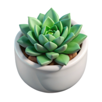 dazzling minimalist Succulent arrangement in a white ceramic pot, geometric arrangement, matte finish, top-down view, isolateon transparent background,high-resolution product photography fine detail png