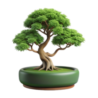 distinctive bohemian Bonsai tree with cascading branches, mossy base, studio lighting, front view, isolateon transparent background,high-resolution product photography luxury png