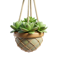 tranquil immaculate Hanging succulent arrangement in a macrame hanger, trailing vines, studio lighting, front view, isolateon transparent background,high-resolution product photography premium png