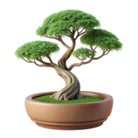 dreamy breathtaking Bonsai tree with cascading branches, mossy base, studio lighting, front view, isolateon transparent background,high-resolution product photography top-tier png