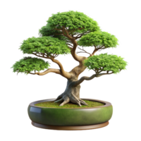 acclaimemid-century Bonsai tree with cascading branches, mossy base, studio lighting, front view, isolateon transparent background,high-resolution product photography impeccable png