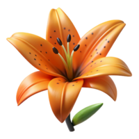 immaculate unparalleleOrange lily with dark spots, dramatic lighting, side view, isolateon transparent background,high-resolution product photography png