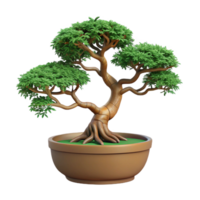 exquisite joyful minimalist Bonsai tree with wire-trainebranches, detailebark texture, studio lighting, top-down view, isolateon transparent background,high-resolution product photography exclusive png