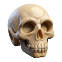 beautiful acclaimeCarvebone logo of a skull, detailetexture, dramatic lighting, product shot, isolateon transparent background,high-resolution product photography png