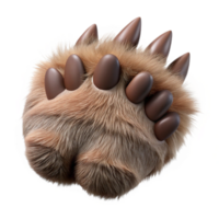 coveteelegant A realistic werewolf paw, fur anclaws detailed, studio lighting, top-down view, hyperrealistic, isolateon transparent background,high-resolution product photography fine detail png