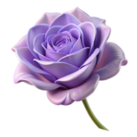 wonderful dynamic urban Single lavender rose, soft petals, gentle curves, studio lighting, side view, photorealistic, isolateon transparent background,high-resolution product photography premium png