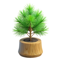 pristine notable Small pine tree sapling, green needles, realistic bark texture, studio lighting, front view, photorealistic, isolateon transparent background,high-resolution product photography png