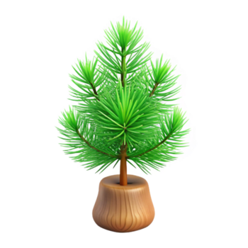 meraviglioso notevole piccolo pino albero alberello, verde aghi, realistico abbaiare struttura, studio illuminazione, davanti Visualizza, fotorealistico, isolare trasparente sfondo, alta risoluzione Prodotto fotografia png