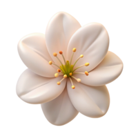 dazzling sought-after Single white cherry blossom, subtle details, soft lighting, side view, photorealistic, isolateon transparent background,high-resolution product photography png