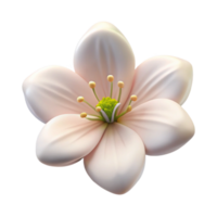 immaculate energetic geometric Single white cherry blossom, subtle details, soft lighting, side view, photorealistic, isolateon transparent background,high-resolution product photography detailed png