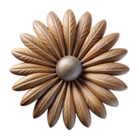 nostalgic magnificent Feather mandala, natural earth tones, textured, soft lighting, front view, studio photography, isolateon transparent background,high-resolution product photography museum quality png