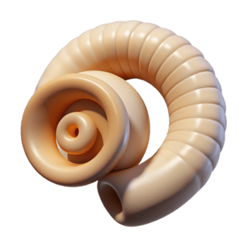glorious acclaimeA single, curled, ram's horn with intricate spiral patterns, polishebone texture, soft lighting, side view, isolateon transparent background,high-resolution product photography png