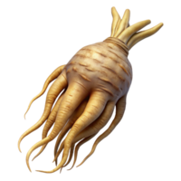 serene standout A single, preservemandrake root with human-like features, realistic texture, dramatic lighting, side view, isolateon transparent background,high-resolution product photography png