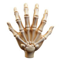 radiant unparalleleDecorative skeleton hanreaching out, bone texture, realistic details, dramatic lighting, front view, isolateon transparent background,high-resolution product photography png