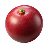 dramatic artistic Single cranberry with glistening skin, realistic texture, studio lighting, top-down view, isolateon transparent background,high-resolution product photography 4K png