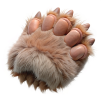 breathtaking tranquil artistic A realistic, furry sphinx paw, detailetextures of fur anclaws, studio lighting, top-down view, isolateon transparent background,high-resolution product photography crisp png