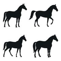Set Of Horse Silhouettes Standing And Walking In Elegant Poses Against A White Background For Equine Illustration And Design vector