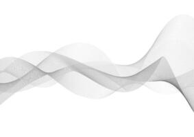 abstract white background with smooth gray gradient wave lines vector