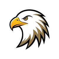 Eagle bird head with white background vector