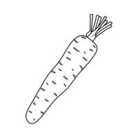 Minimalist line art illustration of a carrot with crisp, clean outlines. Perfect for culinary design, packaging, web graphics, and print materials, offering a modern, fresh look for food-related vector