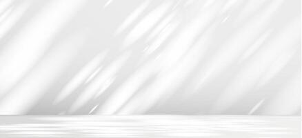 Glare from the sun's rays on the wall. Blurred shadows from leaves and plants in the room. Soft overlay of natural light. Abstract background for product presentation.Natural light layout. vector