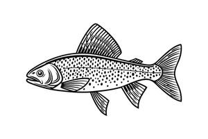 A fish is shown in a drawing style vector