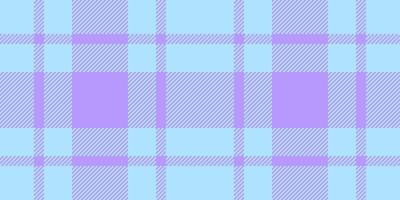 Pastel plaid pattern in soft blue and lilac. Perfect for backgrounds, textiles, or fashion designs. This delicate, repeating texture evokes feelings of calmness and serenity. vector
