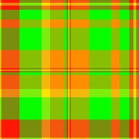 Vibrant neon plaid pattern. Perfect for textiles, website backgrounds, or graphic design projects. This bold, energetic design evokes feelings of summer, fun, and energy. vector