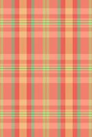 Vibrant coral, peach, and lime green plaid pattern. Perfect for textile design, fashion, websites, and packaging. This cheerful, summery texture evokes feelings of warmth and optimism. vector