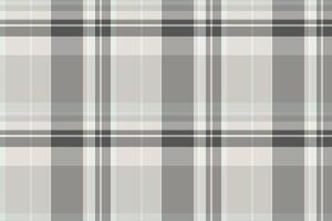 Lady textile check , sixties pattern fabric seamless. Spanish plaid background tartan texture in grey and white colors. vector