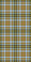 Front pattern seamless tartan, clothing textile plaid . Detailed background fabric texture check in lime and orange colors. vector