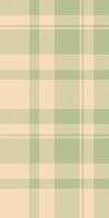 Subtle sage green and cream plaid pattern. Perfect for textile design, website backgrounds, or stationery. Evokes feelings of calmness and sophistication. vector