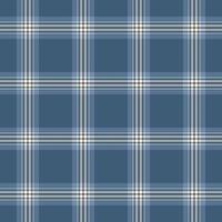 Elegant blue and white plaid pattern. Perfect for textile design, website backgrounds, or crafting projects. vector