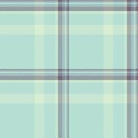 Subtle pastel plaid pattern. Perfect for textile design, website backgrounds, or crafting projects. Elegant and calming color palette evokes serenity and sophistication. vector