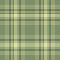 Elegant plaid pattern in earthy tones. Versatile background for textiles, designs, or digital art. Evokes a sense of heritage, comfort, rustic style. vector