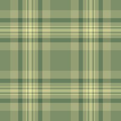 Elegant plaid pattern in earthy tones. Versatile background for textiles, designs, or digital art. Evokes a sense of heritage, comfort, rustic style.