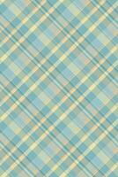Sparse plaid texture tartan, room fabric pattern textile. Celebrate check background seamless in pastel and cyan colors. vector