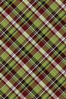 Exotic seamless textile background, international texture check pattern. Tradition tartan fabric plaid in lime and pastel colors. vector