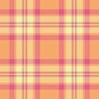 Stylish pastel plaid pattern with intersecting lines. Perfect for backgrounds, textile designs, or adding a touch of retro charm to your project. vector