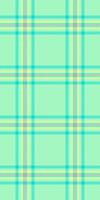 Vibrant pastel plaid pattern, perfect for textile design, website backgrounds, or crafting projects. This cheerful, seamless texture evokes feelings of spring and optimism. vector