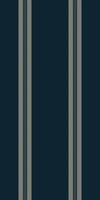 Ddvertisement background fabric seamless, scratch textile pattern. Aative vertical lines stripe texture in dark and light colors. vector