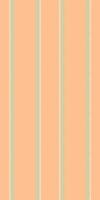 Plain pattern background fabric, brand texture vertical. Geometrical stripe textile lines seamless in orange and light colors. vector