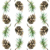 Pine branches and cones. Watercolor illustration hand drawn. Seamless pattern forest, summer, autumn on a white background vector