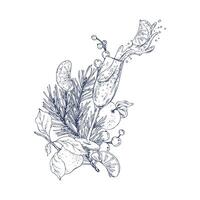 Christmas collection with levitation tangerines, glass of splashing champagne and pine twigs. Graphic illustration hand drawn in black ink. Composition, arrangement, sublimation EPS . vector