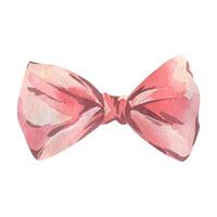 Bow tie simple and elegant in pink, coral, peach shades. Watercolor illustration, hand-drawn on the theme of Bows coquettes. A separate element isolated from the background vector